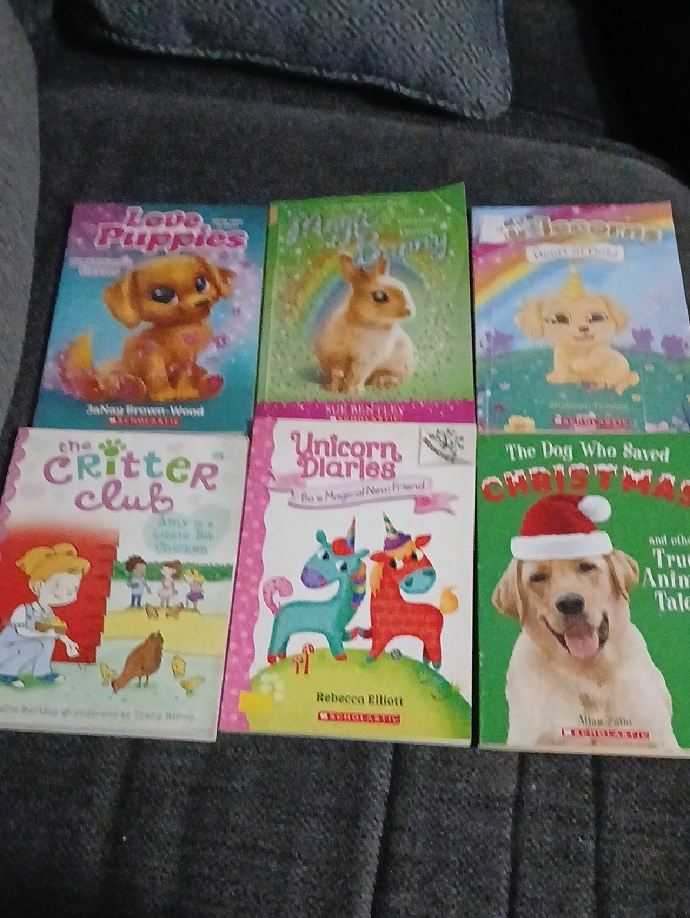 Scholastic Kids Book Lot - Colorful Covers (green, pink, blue, yellow)